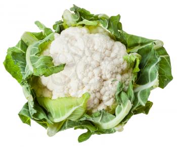 head of ripe cauliflower isolated on white background