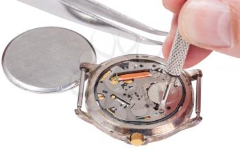 Repairing of watch - watchmaker replaces battery in quartz wristwatch isolated on white background