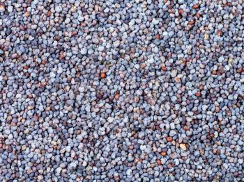 food background - food black poppy seeds