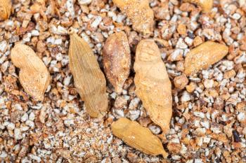 food background - dried seeds and ground cardamon close up