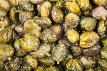 food background - many green pickled capers close up