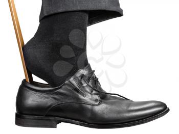 man dons black shoe with shoehorn isolated on white background