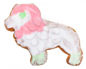 homemade Christmas festive glazed gingerbread cookie - lion figure sweet cookie isolated on white background