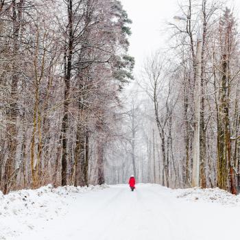 Woman walking along snow-covered road under snow in winter forest