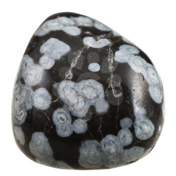 macro shooting of natural gemstone - polished snowflake obsidian mineral gem stone isolated on white background