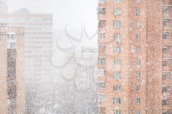 snowfall in city - strong snowing and apartment houses in winter