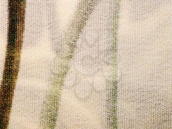 textile background - transparent light brown silk fabric with Crepe (crape) de chine weave pattern of threads close up