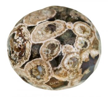 macro shooting of natural mineral stone - ball from Madagascar Rhyolite (Ocean Jasper, Orbicular jasper, turritella agate) isolated on white background