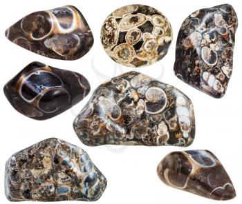 set of various turritella agate natural mineral stones and gemstones isolated on white background