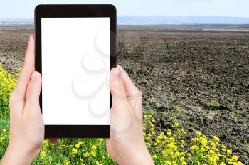 gardening concept - farmer photographs plowed country field and yellow flowers of rapeseed in spring on tablet pc with cut out screen with blank place for advertising