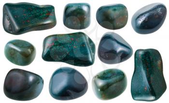 set of various heliotrope (bloodstone) natural mineral stones and gemstones isolated on white background