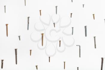 wood screws and self-tapping screws arranged on white background