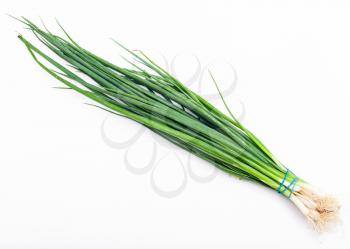 bunch of fresh cut green chives on white background