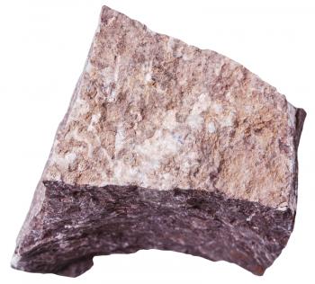 macro shooting of sedimentary rock specimens - Siltstone stone isolated on white background