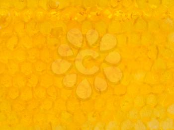natural pattern - yellow honeycomb cells under fresh honey