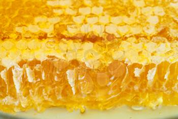 broken yellow honeycomb with honey on plate close up