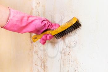 cleaning of room wall from mold with metal brush