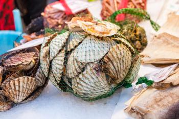 travel to Italy - clams on ice in market in Venice city