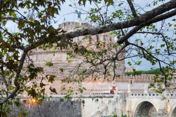 travel to Italy - branch of sycamore tree and Castel Sant Angelo (Castle of the Holy Angel) on background in Rome city in autumn evening twilight