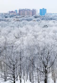 city on horizon and view of woods covered by snow in cold winter morning