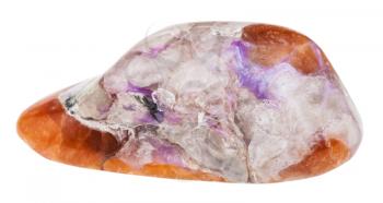 macro shooting of geological collection mineral - tumbled violet Charoite on brown Tinaksite stone isolated on white background