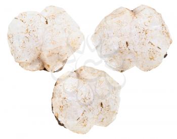 set of natural Analcime (analcite) stones isolated on white background