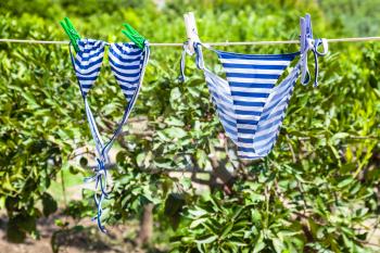agricultural tourism in Italy - swim suits dry in green orchard in Sicily is summer sunny day