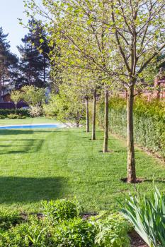 well-groomed lawn with pool on backyard of country house in spring evening
