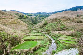 travel to China - view of terraced fields and creek in Dazhai village in country of Longsheng Rice Terraces (Dragon's Backbone terrace, Longji Rice Terraces) in spring