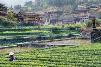 travel to China - peasant on tea plantation and irrigation canal in Chengyang village of Sanjiang Dong Autonomous County in spring season