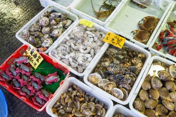 GUANGZHOU, CHINA - MARCH 31, 2107: squids and clams on Huangsha Aquatic Product Trading Market in Guangzhou city in spring season. This is the largest fresh water fish market in Southern China