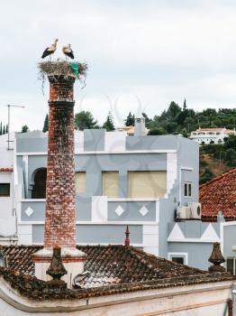 Travel to Algarve Portugal - Storks on the nest on a chimney in Silves city