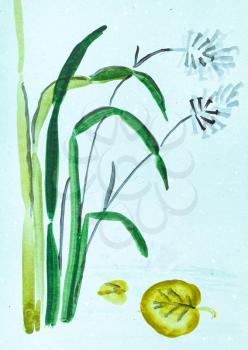 training drawing in suibokuga style with watercolor paints - cane and leaf of water lily on blue colored paper
