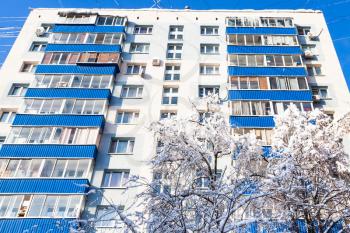 snow-covered tree and residential building in Moscow city in sunny winter day