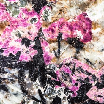 square background from polished pink eudialyte mineral with black aegirine crystals in syenite (lujaurite) rock close up