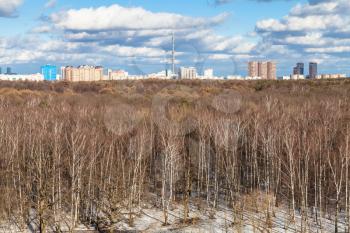 above view of bare birch trees and last melting snow in Timiryazevskiy park and skyline of Moscow city in sunny spring day