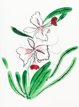hand painting in sumi-e style on cream paper - color orchid flower drawn by watercolors