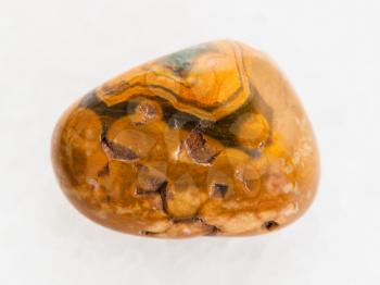 macro shooting of natural mineral rock specimen - tumbled Leopard Skin Jasper gemstone on white marble background