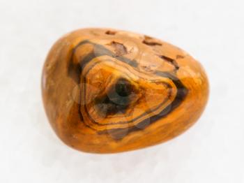 macro shooting of natural mineral rock specimen - polished Leopard Skin Jasper gemstone on white marble background