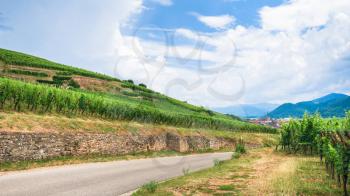 travel to France - road between green vineyards in Alsace Wine Route region in summer