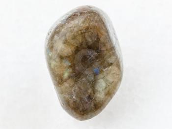 macro shooting of natural mineral rock specimen - polished labradorite gem stone on white marble background from Finland