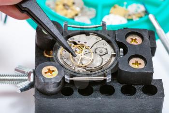 watchmaker workshop - repairing of old watch in holder with tweezer close up