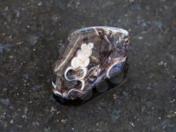 macro shooting of natural mineral rock specimen - tumbled Turritella Agate gemstone on dark granite background from Wyoming, USA