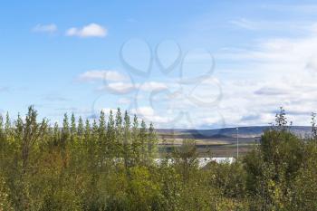 travel to Iceland - woods around Haukadalur geyser area in september