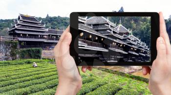 travel concept - tourist photographs Chengyang Wind and Rain (Fengyu, Yongji, Panlong) Bridge in Sanjiang Dong Autonomous County near tea plantation in China in spring on tablet