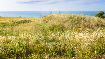 travel to France - meadow on Cap Gris-Nez of English channel in Cote d'Opale district in Pas-de-Calais region of France in summer day