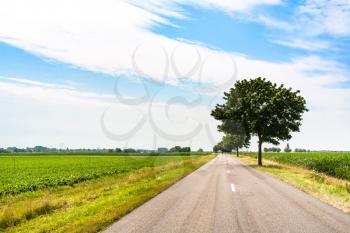travel to France - road route D468 in fields near Colmar town in Alsace region in summer day