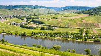 travel to Germany - above view of vineyards and fields in valley of Mosel river in Cochem - Zell region on Moselle wine route in sunny summer day