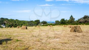 travel to France - harvested field in Ploubazlanec commune of Paimpol region on coast of English Channel in Cotes-d'Armor department of Brittany in summer sunny sunset