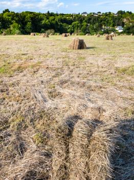 travel to France - harvested field with haystacks in Ploubazlanec commune of Paimpol region in Cotes-d'Armor department of Brittany in summer sunny sunset